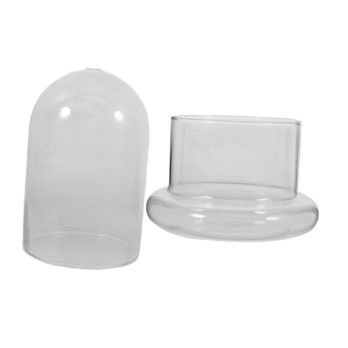KITANDOVE Pflanze Terrarium Moos große Glasflasche für Home Office Schreibtisch KITANDOVE Pflanze Terrarium Moos große Glasflasche für Home Office Schreibtisch von KITANDOVE