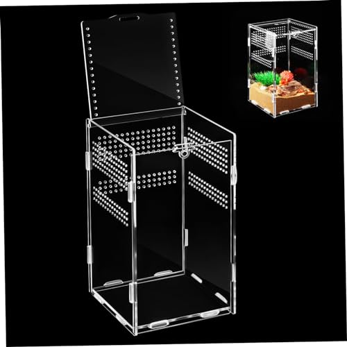 KITANDOVE Reptiliengehege Reptilien-Futterbox Gehege für Stabheuschrecken Beobachtungsdesign leichtes tragbares Eidechsenbecken KITANDOVE Reptiliengehege Reptilien-Futterbox Gehege für Stabheuschrecken Beobachtungsdesign leichtes tragbares Eidechsenbecken von KITANDOVE