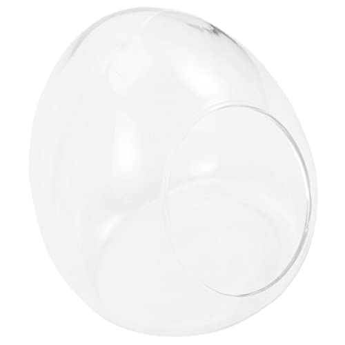 KITANDOVE Flaschen Pflanzenbehälter Aus Moos Desktop-sukkulentenflasche Flasche Mit Mikrolandschaft Easy Putz Glasflasche Für Mikrolandschaft Mikro-landschaftsflasche Moos Ökologische Flasche KITANDOVE Flaschen Pflanzenbehälter Aus Moos Desktop-sukkulentenflasche Flasche Mit Mikrolandschaft Easy Putz Glasflasche Für Mikrolandschaft Mikro-landschaftsflasche Moos Ökologische Flasche von KITANDOVE