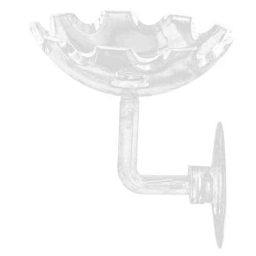 KITANDOVE Shrimp Feeding Dish Mit Saugnapf Hochtransparente Futterstation Für Aquarien Und Reptilien Praktische Futterlösung Für Garnelen Und Fische Installieren Für Aquarium von KITANDOVE