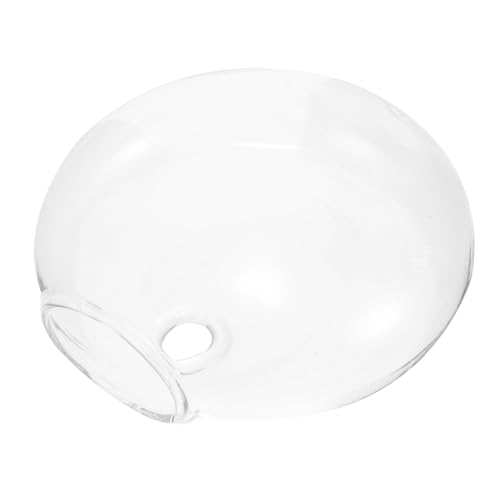 Wandvase Hängende Verzierung Hängender Pflanzer Für Zu Hause Heimdekoration Pflanzer-anhänger Hängevase Für Den Garten Hängendes Terrarium Heimischer Blumentopf Hängende Vase Glas KITANDOVE Wandvase Hängende Verzierung Hängender Pflanzer Für Zu Hause Heimdekoration Pflanzer-anhänger Hängevase Für Den Garten Hängendes Terrarium Heimischer Blumentopf Hängende Vase Glas KITANDOVE von KITANDOVE