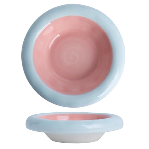 KITCHENLESTAR Keramik-Katzennapf, 170 ml, innen rosa, außen blau, Schnurrhaar-Ermüdungslinderung, Anti-Erbrechen, Wirbelsäulenschutz für Hauskatzen (Rosa und Blau) von KITCHENLESTAR