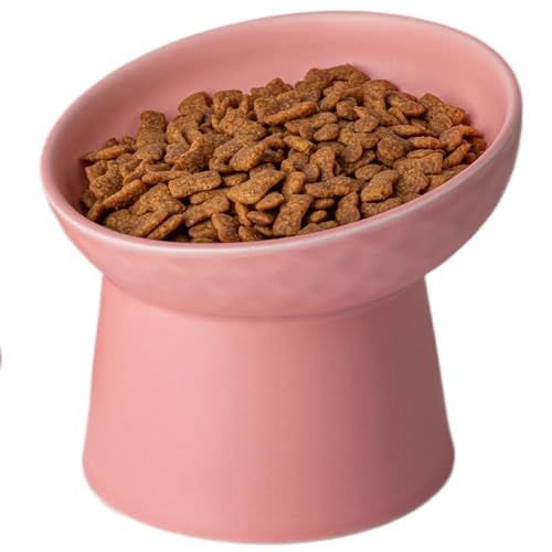 KITCHENLESTAR Kleine erhöhte Katzennäpfe aus Keramik, geneigte erhöhte Futter- oder Wassernäpfe, stressfrei, Rückflussverhinderung, spülmaschinen- und mikrowellengeeignet, blei- und cadmiumfrei (Rosa) von KITCHENLESTAR