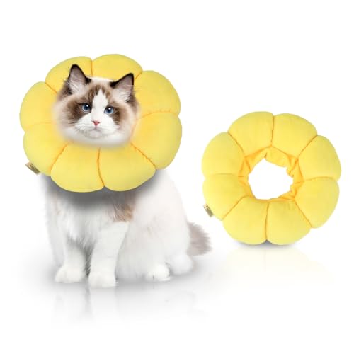 Katzen Halskrause - Schutzkragen Katze M - Weiche PP-Baumwolle - Verhindert Lecken und Beißen nach Operation - Für Erholung Kleiner Hunde und Katzen (Sonnenblume) von KITDAHOM