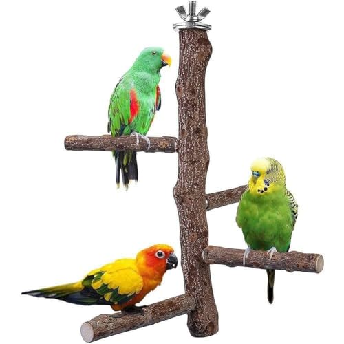 Vögel Naturholz Ständer Sittich Spielzeug Papagei Stehende Vögel Zubehör Stick Plattform Papageien Liefert Hängen Klaue 1set F2u5 von KITPIPI