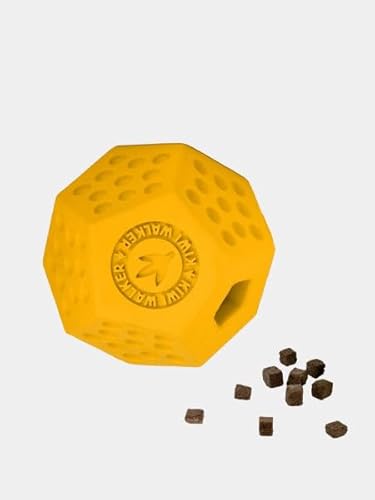KIWI WALKER DODECABALL MINI Gummispielzeug | Hundespielzeug mit Leckerli-Spender | Prellen von KIWI WALKER
