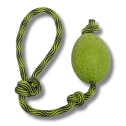 KIWI WALKER Hundespielzeug Let's Play! Egg | Wurfspielzeug von KIWI WALKER