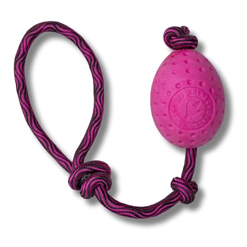 KIWI WALKER Hundespielzeug Let's Play! Egg | Wurfspielzeug KIWI WALKER Hundespielzeug Let's Play! Egg | Wurfspielzeug von KIWI WALKER