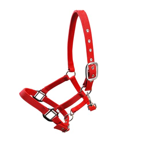 KIXZSAZ Gepolsterter Halfter Pony Trensen Kopfkragen, hervorragender Widerstandsschutz, rostfrei, professionelles Halfter Racing Sattelpolster, Rot, S KIXZSAZ Gepolsterter Halfter Pony Trensen Kopfkragen, hervorragender Widerstandsschutz, rostfrei, professionelles Halfter Racing Sattelpolster, Rot, S von KIXZSAZ