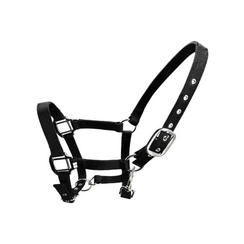 KIXZSAZ Gepolsterter Halfter Pony Trensen Kopfkragen, hervorragender Widerstandsschutz, rostfrei, professionelles Halfter Racing Sattelpolster, Schwarz, M KIXZSAZ Gepolsterter Halfter Pony Trensen Kopfkragen, hervorragender Widerstandsschutz, rostfrei, professionelles Halfter Racing Sattelpolster, Schwarz, M von KIXZSAZ