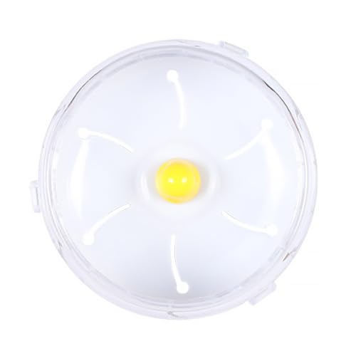 KIXZSAZ Haustiere Laufrad Clip-on Maus rutschfeste Jogging Für Spinner Mini Trainingsgeräte Wohnheim Tiersport Zubehör Geschenke, Klar KIXZSAZ Haustiere Laufrad Clip-on Maus rutschfeste Jogging Für Spinner Mini Trainingsgeräte Wohnheim Tiersport Zubehör Geschenke, Klar von KIXZSAZ