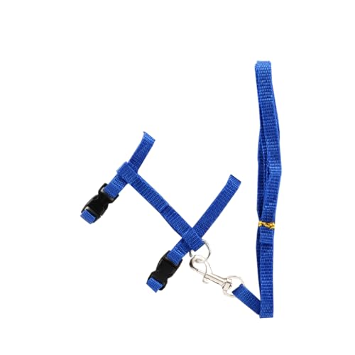 KIXZSAZ Pet Walking Leine Schnalle Tierhalsband Seil Outdoor Flexible Harness String Komfortable Sicherheit Tragbarer Ersatz, Blau KIXZSAZ Pet Walking Leine Schnalle Tierhalsband Seil Outdoor Flexible Harness String Komfortable Sicherheit Tragbarer Ersatz, Blau von KIXZSAZ