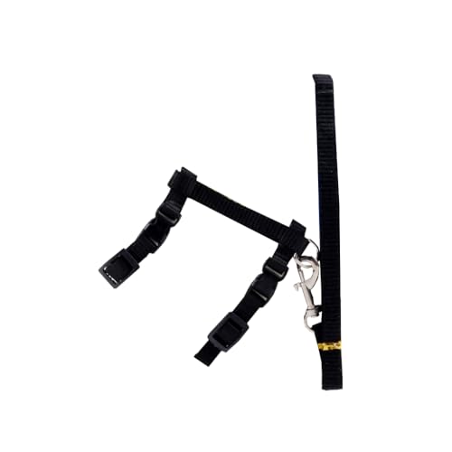 KIXZSAZ Pet Walking Leine Schnalle Tierhalsband Seil Outdoor Flexible Harness String Komfortable Sicherheit Tragbarer Ersatz, Schwarz KIXZSAZ Pet Walking Leine Schnalle Tierhalsband Seil Outdoor Flexible Harness String Komfortable Sicherheit Tragbarer Ersatz, Schwarz von KIXZSAZ