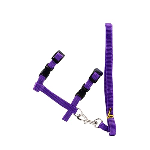 KIXZSAZ Pet Walking Leine Schnalle Tierhalsband Seil Outdoor Flexible Harness String Komfortable Sicherheit Tragbarer Ersatz, Violett KIXZSAZ Pet Walking Leine Schnalle Tierhalsband Seil Outdoor Flexible Harness String Komfortable Sicherheit Tragbarer Ersatz, Violett von KIXZSAZ