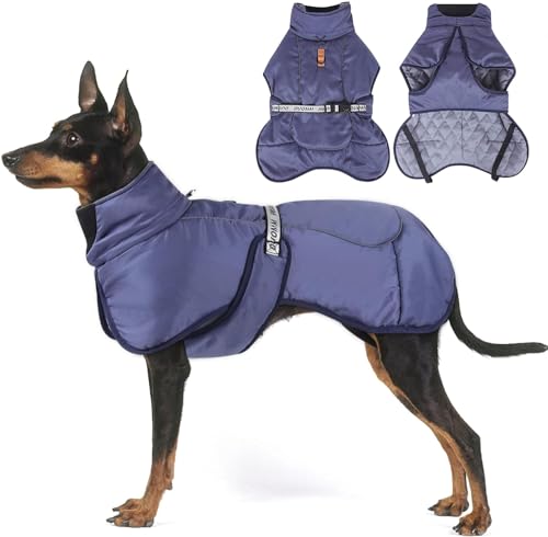 Hunde Kleidung, Warme Hundejacke, Baumwolle Gefütterte Hundejacke Warm Wintermantel für den kalten Winter (blau, 3XL) von KJSXUUE