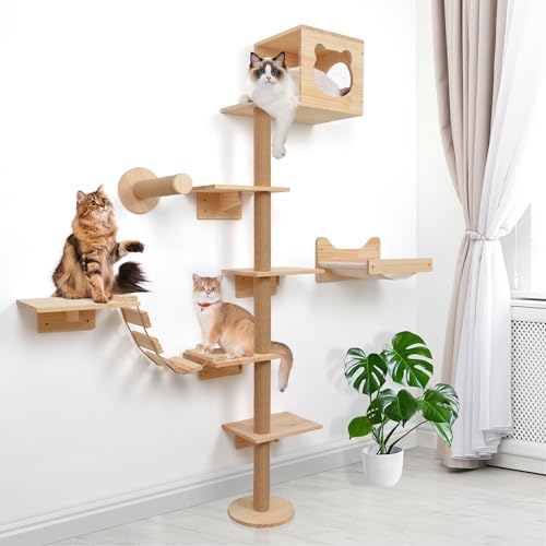 KKHAN Kratzbaum für Indoor-Katzen, groß, Erwachsene, 189 cm hoch, mit Katzentoiletten-Gehäuse, Wandmontage, Holz-Katzenbaum, Katze mit Hängematte KKHAN Kratzbaum für Indoor-Katzen, groß, Erwachsene, 189 cm hoch, mit Katzentoiletten-Gehäuse, Wandmontage, Holz-Katzenbaum, Katze mit Hängematte von KKHAN
