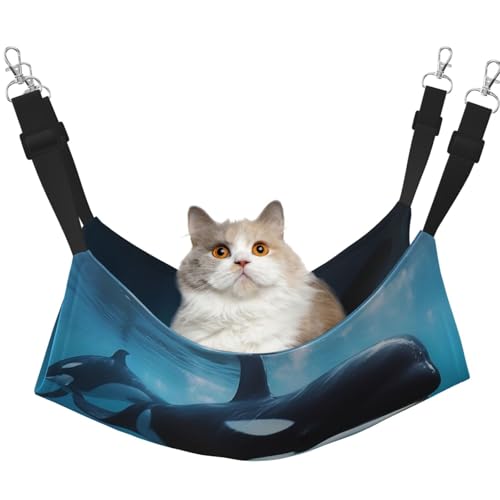 KKLWEGU Killer Whale Katzenhängematte Sommer Atmungsaktiv Hängende Haustier Käfig Hängematte Bett Verstellbare Weiche Schlafhängematte für Katzen Kleine Hunde Kaninchen Groß KKLWEGU Killer Whale Katzenhängematte Sommer Atmungsaktiv Hängende Haustier Käfig Hängematte Bett Verstellbare Weiche Schlafhängematte für Katzen Kleine Hunde Kaninchen Groß von KKLWEGU