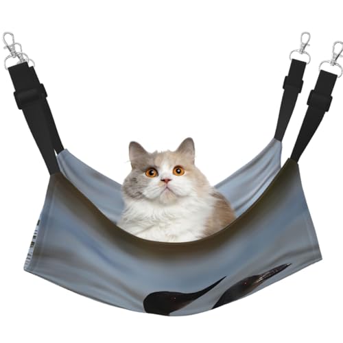 KKLWEGU Loon Birds Katzenhängematte, Sommer, atmungsaktiv, hängend, Haustierkäfig-Hängematte, Bett, verstellbar, weich, für Katzen, kleine Hunde, Kaninchen, groß KKLWEGU Loon Birds Katzenhängematte, Sommer, atmungsaktiv, hängend, Haustierkäfig-Hängematte, Bett, verstellbar, weich, für Katzen, kleine Hunde, Kaninchen, groß von KKLWEGU