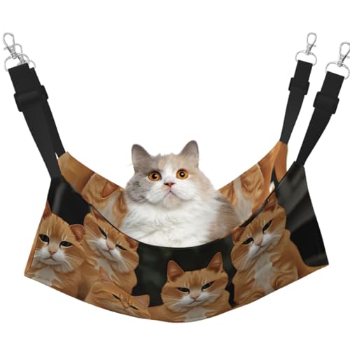 KKLWEGU Orange Katzen Katze Hängematte Sommer Atmungsaktiv Hängende Haustier Käfig Hängematte Bett Verstellbare Weiche Schlafhängematte für Katzen Kleine Hunde Kaninchen Medium KKLWEGU Orange Katzen Katze Hängematte Sommer Atmungsaktiv Hängende Haustier Käfig Hängematte Bett Verstellbare Weiche Schlafhängematte für Katzen Kleine Hunde Kaninchen Medium von KKLWEGU