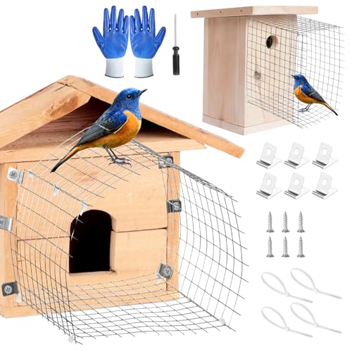 Bluebird-Haus, Raubfischschutz-Set, Vogelhaus-Drahteingangsschutz, Edelstahlgeflecht, Vogelhaus-Lochschutz für östliches Bluebird-Haus und ihre Babys, sicher, 15,2 x 15,2 x 10,2 cm Bluebird-Haus, Raubfischschutz-Set, Vogelhaus-Drahteingangsschutz, Edelstahlgeflecht, Vogelhaus-Lochschutz für östliches Bluebird-Haus und ihre Babys, sicher, 15,2 x 15,2 x 10,2 cm von KKONHII