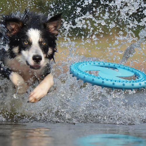KKPLZZ Hund Fliegenscheibe, Hund Flyer Hundespielzeug, Hund Weiches Silikon Interaktive Leichte Fliegende Scheibe Hund, Bissfest Haustier Flying Disk Hundespielzeug für Kleine Große Hunde von KKPLZZ