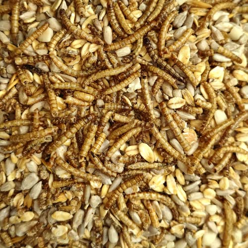 20 kg Deluxe Vogelfutter mit Mehlwürmern schalenlos für Wildvögel 20 kg Deluxe Vogelfutter mit Mehlwürmern schalenlos für Wildvögel von KLASEBO