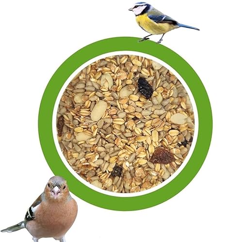 20 kg Premium Wildvogelfutter schalenlos Vogelfutter Streufutter Fettfutter 20 kg Premium Wildvogelfutter schalenlos Vogelfutter Streufutter Fettfutter von KLASEBO
