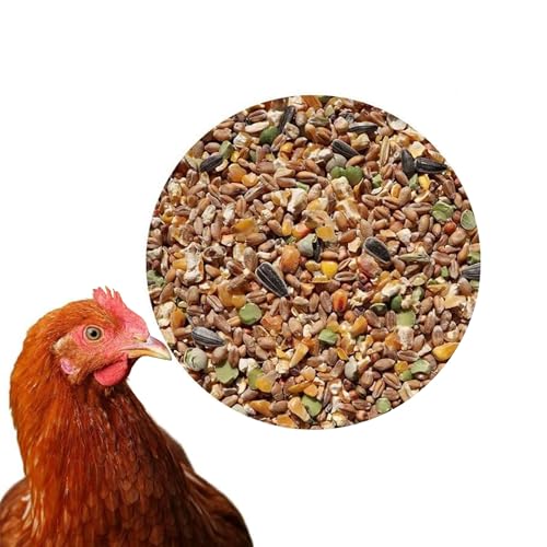 25 kg Premium Hühnerfutter Körnerfutter Plus Geflügelfutter für Hühner, Gänse, Enten von KLASEBO
