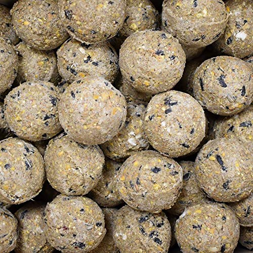 Meisenknödel Premium mit Insekten 100 x ca.90 Gramm ohne Netz von KLASEBO