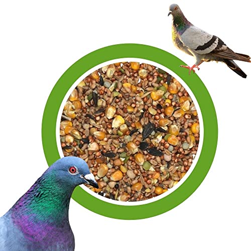 KLASEBO Taubenfutter Universal Mischung 25kg – Premium Ganzjahresfutter für Tauben und Wildvögel – Hochwertiges Vogelfutter ohne künstliche Zusatzstoffe von KLASEBO