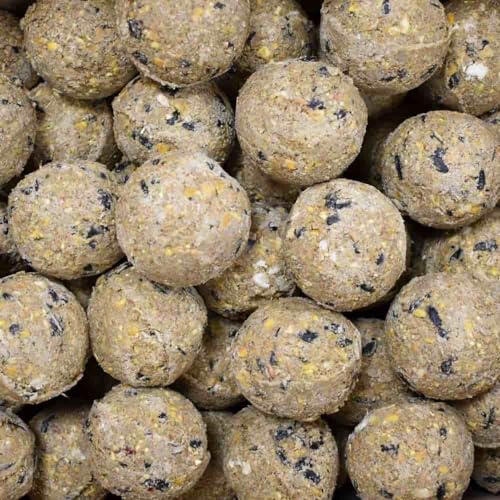 Meisenknödel Premium mit Insekten 200 x ca.90 Gramm ohne Netz von KLASEBO