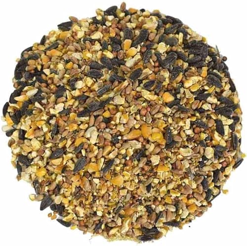 Wildvogelfutter Premium 4-Jahreszeiten-Mischung, 25 kg, Streufutter von KLASEBO