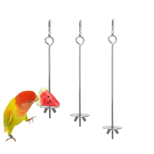 KLEHOPE Vogelspieß, 3 Stück 304 Edelstahl Papageienspieß, 17,5 cm, 22,5 cm, 27,5 cm Vogelgemüsespieß, Silber Vogelobstspieße, Futtersuche Spielzeug für Papageien für Wellensittiche, Sittiche KLEHOPE Vogelspieß, 3 Stück 304 Edelstahl Papageienspieß, 17,5 cm, 22,5 cm, 27,5 cm Vogelgemüsespieß, Silber Vogelobstspieße, Futtersuche Spielzeug für Papageien für Wellensittiche, Sittiche von KLEHOPE