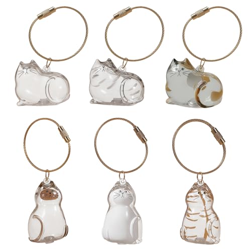 KLINNA 6 Stück Katzenhaar Schlüsselanhänger, Transparente Tierhaar Anhänger als Andenken, Persönliche Pet Haar Erinnerungsbox & Pendants für Katzenliebhaber als Geschenkidee Katze von KLINNA