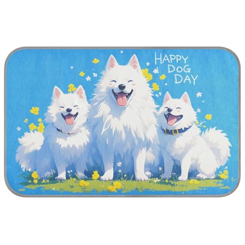 Happy Samoyed Sommer-Kühldecke für Hunde, selbstkühlendes Hundebett, waschbar, für Katzen, Outdoor, Katzen, bequem, Manta refrescante para perro, M Happy Samoyed Sommer-Kühldecke für Hunde, selbstkühlendes Hundebett, waschbar, für Katzen, Outdoor, Katzen, bequem, Manta refrescante para perro, M von KLL