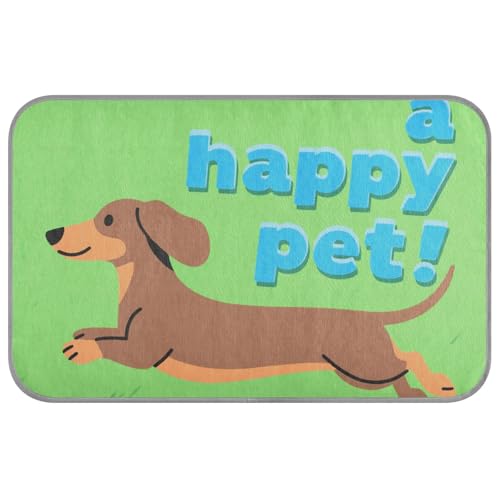KLL A Happy Pet Sommer-Katzenbett für den Sommer, selbstkühlende Decken für Innenkatzen für Kätzchen, Katzen, Outdoor, tragbar, Camas Frias Para, Perros, M KLL A Happy Pet Sommer-Katzenbett für den Sommer, selbstkühlende Decken für Innenkatzen für Kätzchen, Katzen, Outdoor, tragbar, Camas Frias Para, Perros, M von KLL
