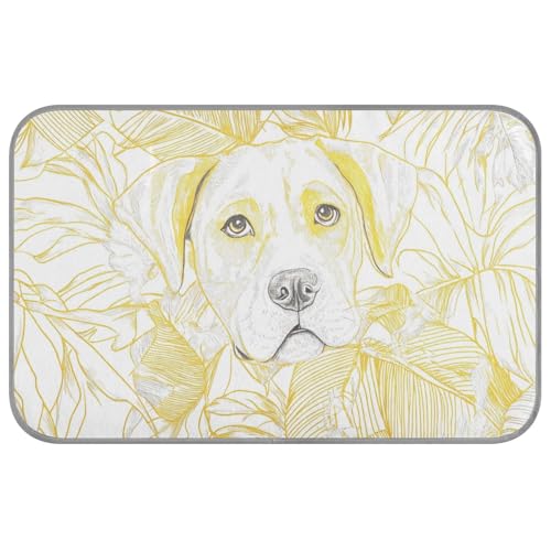 KLL Camas Frias Para Perros M Kühlmatte mit niedlichem Cartoon-Motiv, selbstkühlendes Bett für draußen, für Katzen, Hunde, waschbar, goldfarben von KLL