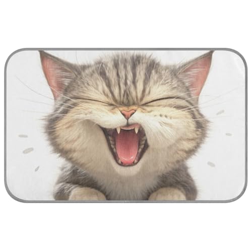KLL Cartoon Angry Cat Fuuny Sommer-Kühldecke für Katzen, selbstkühlende Decken für Outdoor-Katzen für Katzen, Innenbereich, nicht elektrisch, Klebeband für Perros M KLL Cartoon Angry Cat Fuuny Sommer-Kühldecke für Katzen, selbstkühlende Decken für Outdoor-Katzen für Katzen, Innenbereich, nicht elektrisch, Klebeband für Perros M von KLL