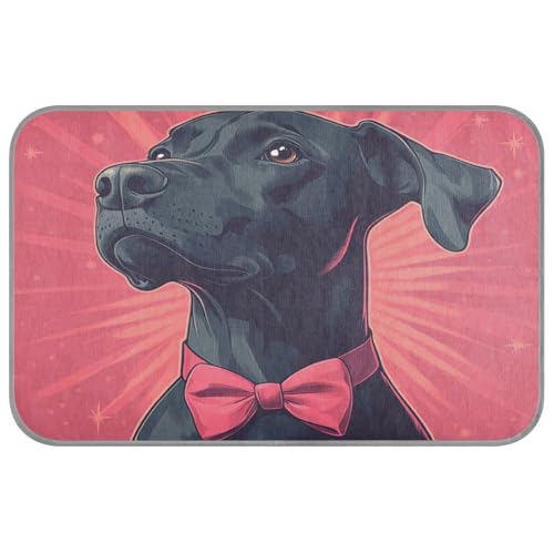 KLL Cool Dobermann Pinsche Dog Red Summer Outdoor Kühlmatte für Hunde, selbstkühlende Matte für Hunde für Hunde, Außenkatze, abnehmbar, Cama Fria para perro M KLL Cool Dobermann Pinsche Dog Red Summer Outdoor Kühlmatte für Hunde, selbstkühlende Matte für Hunde für Hunde, Außenkatze, abnehmbar, Cama Fria para perro M von KLL