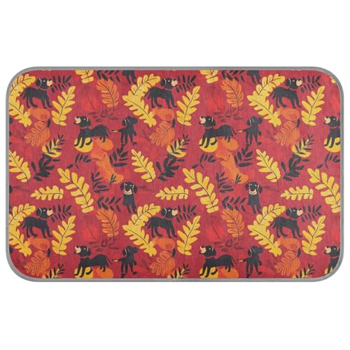 KLL Einfache schwarze Hunde-Kühldecke, Herbstlaub, Sommer, selbstkühlende Betten für Katzen, für Kätzchen, Outdoor, niedlicher Manta-Refrescante para perro, M KLL Einfache schwarze Hunde-Kühldecke, Herbstlaub, Sommer, selbstkühlende Betten für Katzen, für Kätzchen, Outdoor, niedlicher Manta-Refrescante para perro, M von KLL