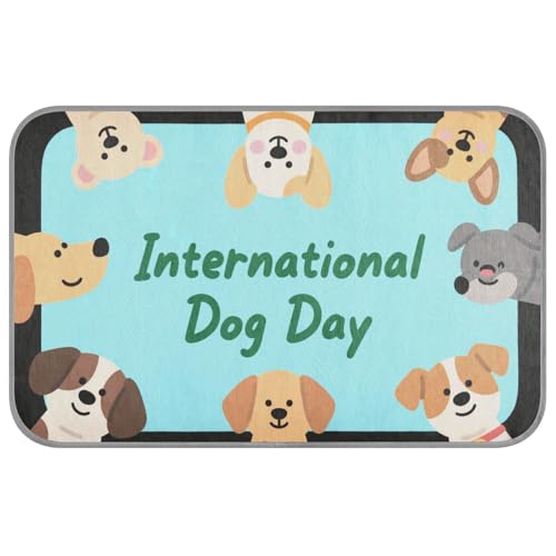 KLL International Dog Day Kühlmatte für den Sommer, Gel, selbstkühlendes Pad für Hunde für Haustiere, draußen, rutschfestes Klebeband, erfrischende Para Mascotas M KLL International Dog Day Kühlmatte für den Sommer, Gel, selbstkühlendes Pad für Hunde für Haustiere, draußen, rutschfestes Klebeband, erfrischende Para Mascotas M von KLL