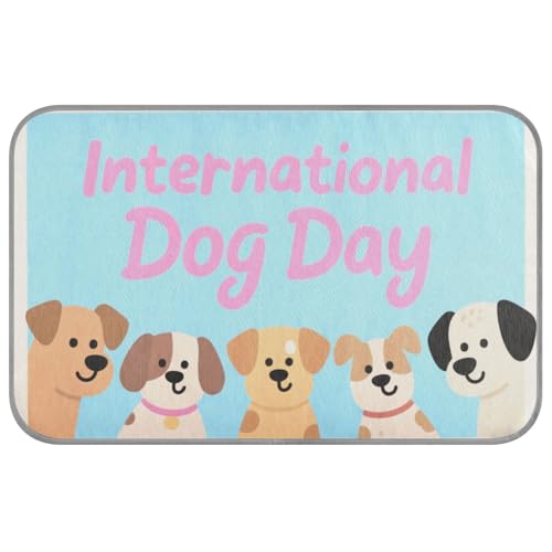 KLL International Dog Day Sommerdecke, kühlend, selbstkühlend, für Reisen, waschbar, Cama Fria para perro, M KLL International Dog Day Sommerdecke, kühlend, selbstkühlend, für Reisen, waschbar, Cama Fria para perro, M von KLL