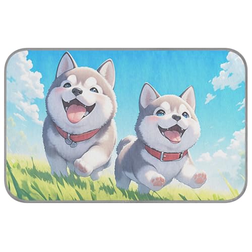 KLL Kühldecke mit lustigem Husky-Motiv, selbstkühlendes Bett für Katzen, Outdoor, für den Außenbereich, bequem, Größe M KLL Kühldecke mit lustigem Husky-Motiv, selbstkühlendes Bett für Katzen, Outdoor, für den Außenbereich, bequem, Größe M von KLL