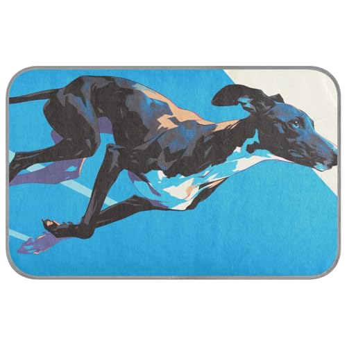 KLL Kühlende selbstkühlende Katzendecken für den Sommer, für den Sommer, für den Außenbereich, für den Außenbereich, Größe M, Blau von KLL