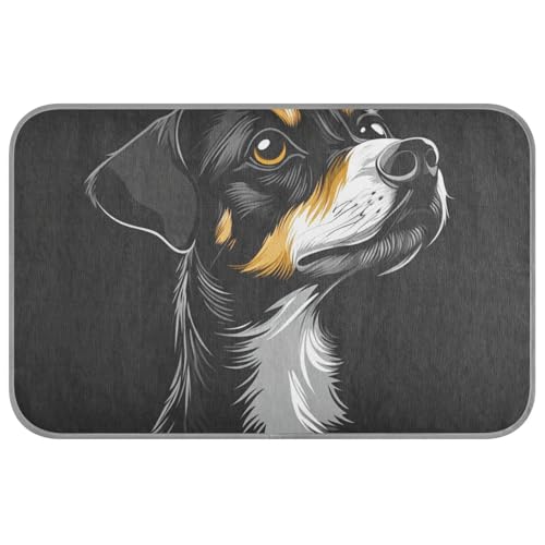 KLL Kühlkissen für Hunde, selbstkühlend, für den Sommer, für Katzen, für Kaninchen, gemütliches Schlafen, schnurlos, Esterilla, Refrescante para Perros M, Schwarz KLL Kühlkissen für Hunde, selbstkühlend, für den Sommer, für Katzen, für Kaninchen, gemütliches Schlafen, schnurlos, Esterilla, Refrescante para Perros M, Schwarz von KLL