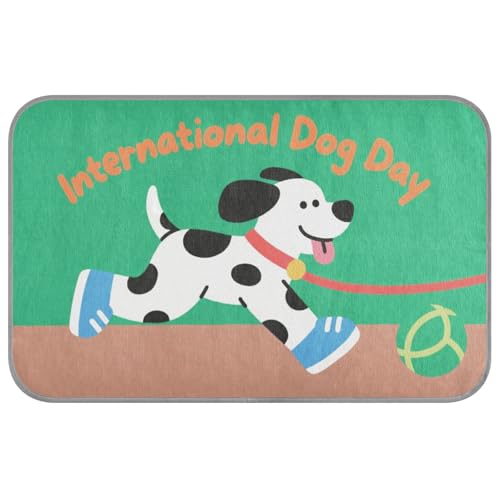 KLL Kühlkissen mit Cartoon-Motiv, für den Sommer, selbstkühlend, für Chihuahua, Outdoor, Katze, Essentials, Cama Fria para perro M von KLL