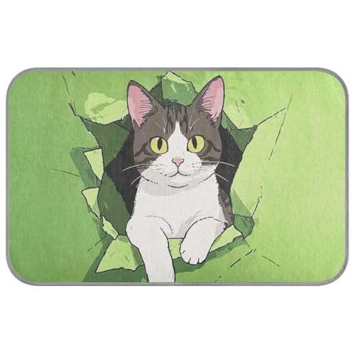 KLL Lustige Cartoon-Wand-Katze, grün, Sommer-Kühlmatte für Hunde für draußen, selbstkühlende Katzenbetten für draußen, für Kaninchen, Outdoor, waschbar, Cama Fria para perro M KLL Lustige Cartoon-Wand-Katze, grün, Sommer-Kühlmatte für Hunde für draußen, selbstkühlende Katzenbetten für draußen, für Kaninchen, Outdoor, waschbar, Cama Fria para perro M von KLL