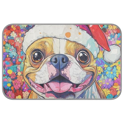 KLL Lustiges Katzenbett für den Sommer, kühlend, selbstkühlend, für Chihuahua, Outdoor, Haustier, Katze, Essentials Tapete, Frio Para, Perros, M KLL Lustiges Katzenbett für den Sommer, kühlend, selbstkühlend, für Chihuahua, Outdoor, Haustier, Katze, Essentials Tapete, Frio Para, Perros, M von KLL