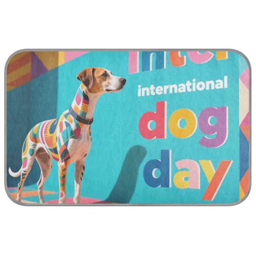 KLL Niedliche bunte Sommer-Kühlmatten, selbstkühlendes Bett für Outdoor-Katzen für Kaninchen, Indoor-Katzen, bequem, Cama Fria para perro M KLL Niedliche bunte Sommer-Kühlmatten, selbstkühlendes Bett für Outdoor-Katzen für Kaninchen, Indoor-Katzen, bequem, Cama Fria para perro M von KLL