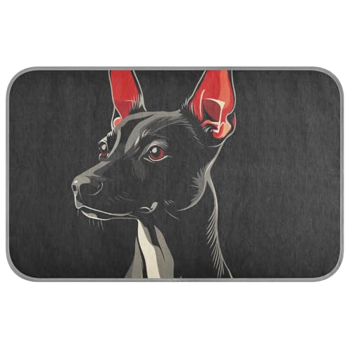 KLL Schwarze Sommer-Kühldecken für große Hunde, selbstkühlende Katzendecken für den Innenbereich, für Schwein, Katze, Outdoor-Essentials Mantas frías para Perros M KLL Schwarze Sommer-Kühldecken für große Hunde, selbstkühlende Katzendecken für den Innenbereich, für Schwein, Katze, Outdoor-Essentials Mantas frías para Perros M von KLL
